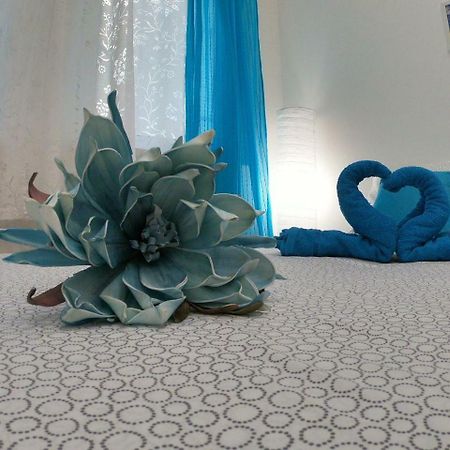 Fedra Appartement Novi Sad Buitenkant foto