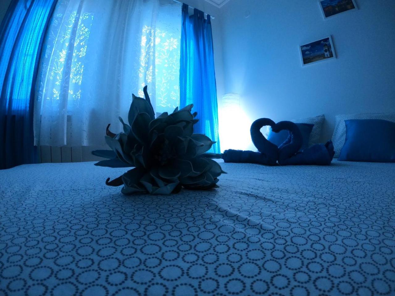 Fedra Appartement Novi Sad Buitenkant foto