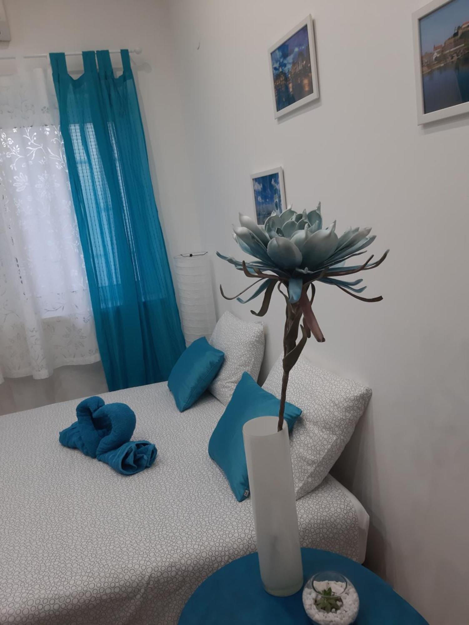 Fedra Appartement Novi Sad Buitenkant foto